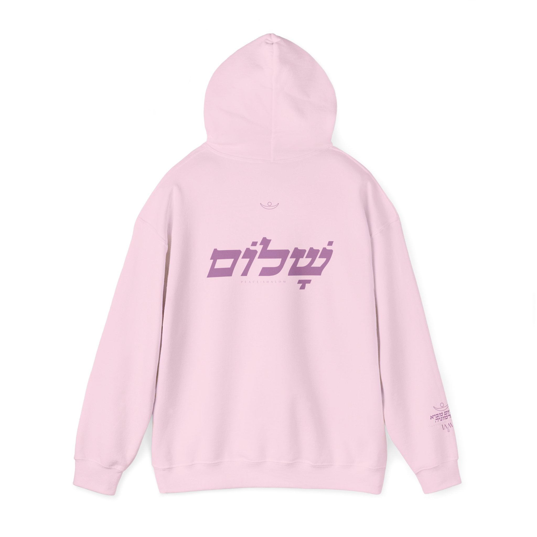 Collection of The Hebrew Love hoodie in a gallery layout