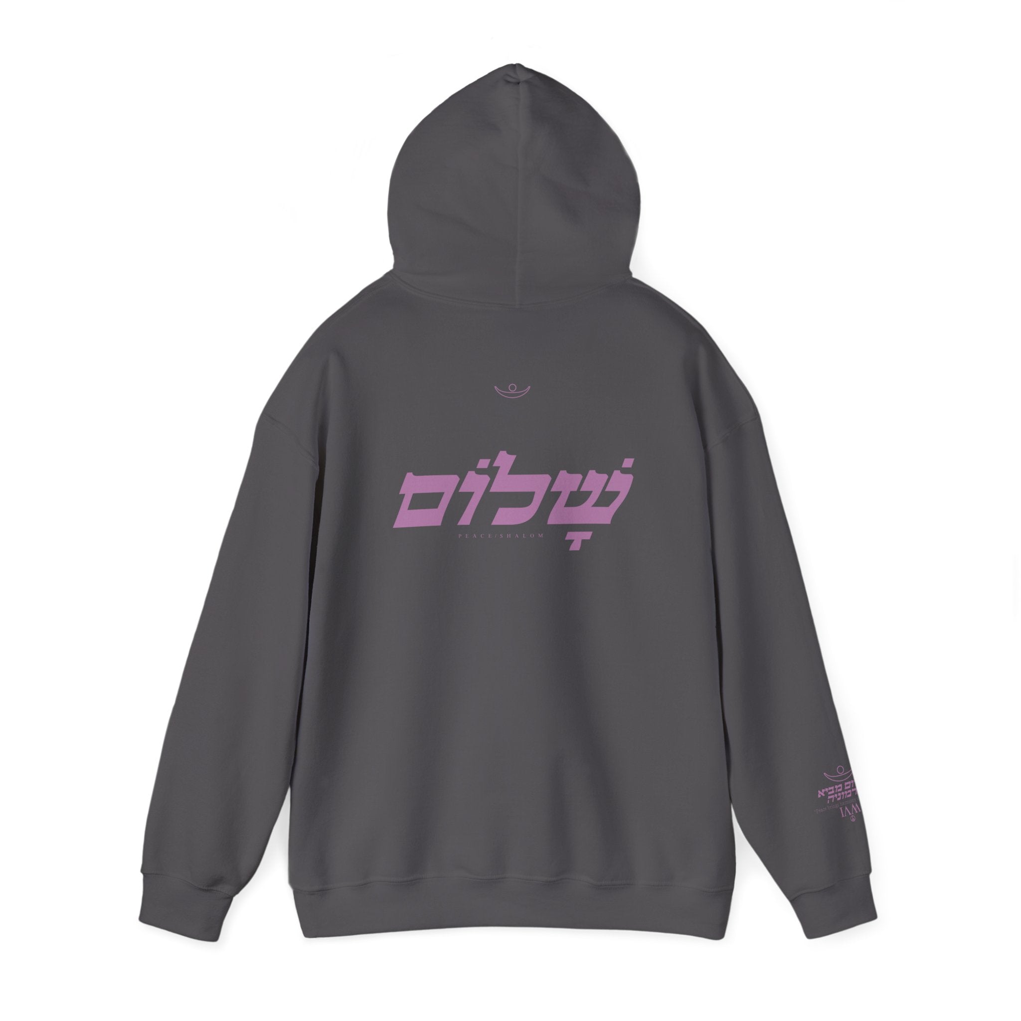 Collection of The Hebrew Love hoodie in a gallery layout