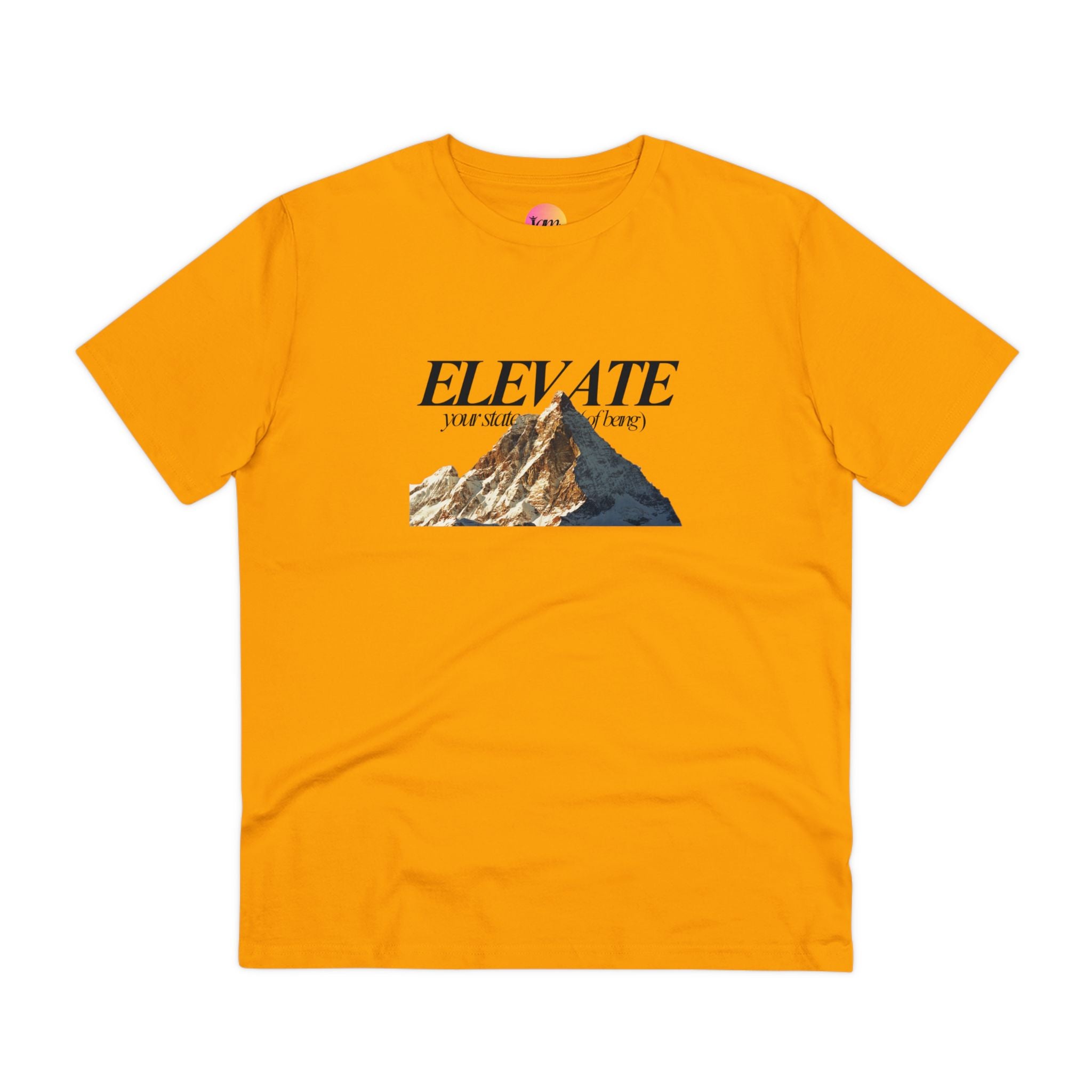 Collection of ELEVATE your state t-shirt in a gallery layout