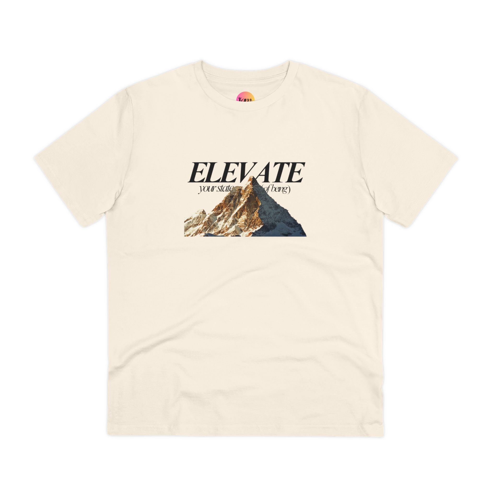 Collection of ELEVATE your state t-shirt in a gallery layout